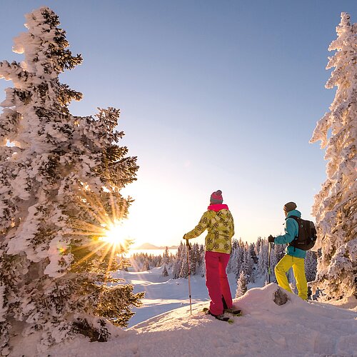 [Translate to Englisch:] Schneeschuhwanderung Villach