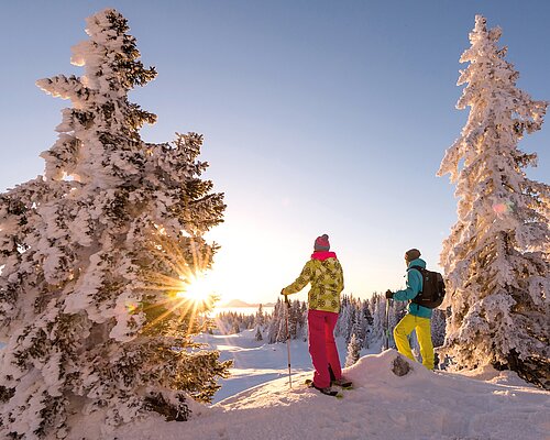 [Translate to Englisch:] Schneeschuhwanderung Villach