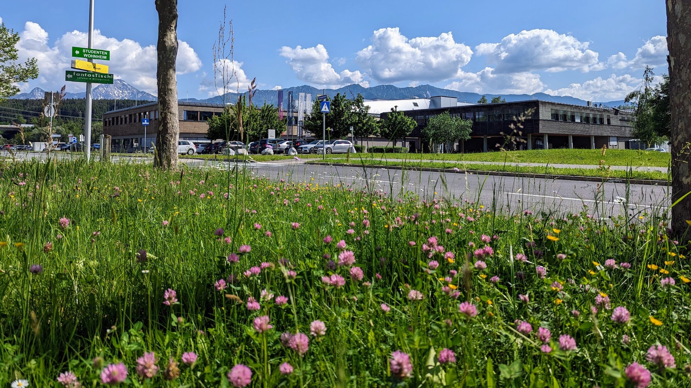 [Translate to Englisch:] Blick auf den Hightech Campus Villach im Frühling