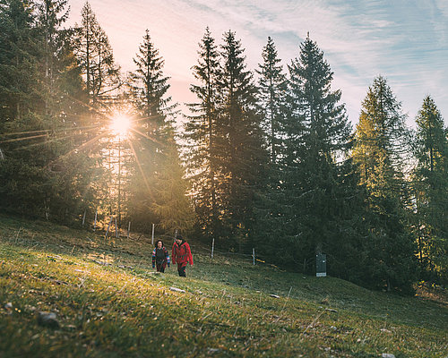 Hiking in the beautiful nature of Villach at earth day