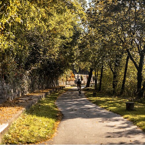 Radfahrer fährt herbstlichen Drauradweg entlang