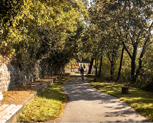 Radfahrer fährt herbstlichen Drauradweg entlang