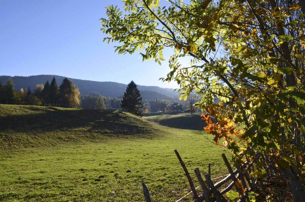 Hundsmarhof in autumn at Naturpark Dobratsch