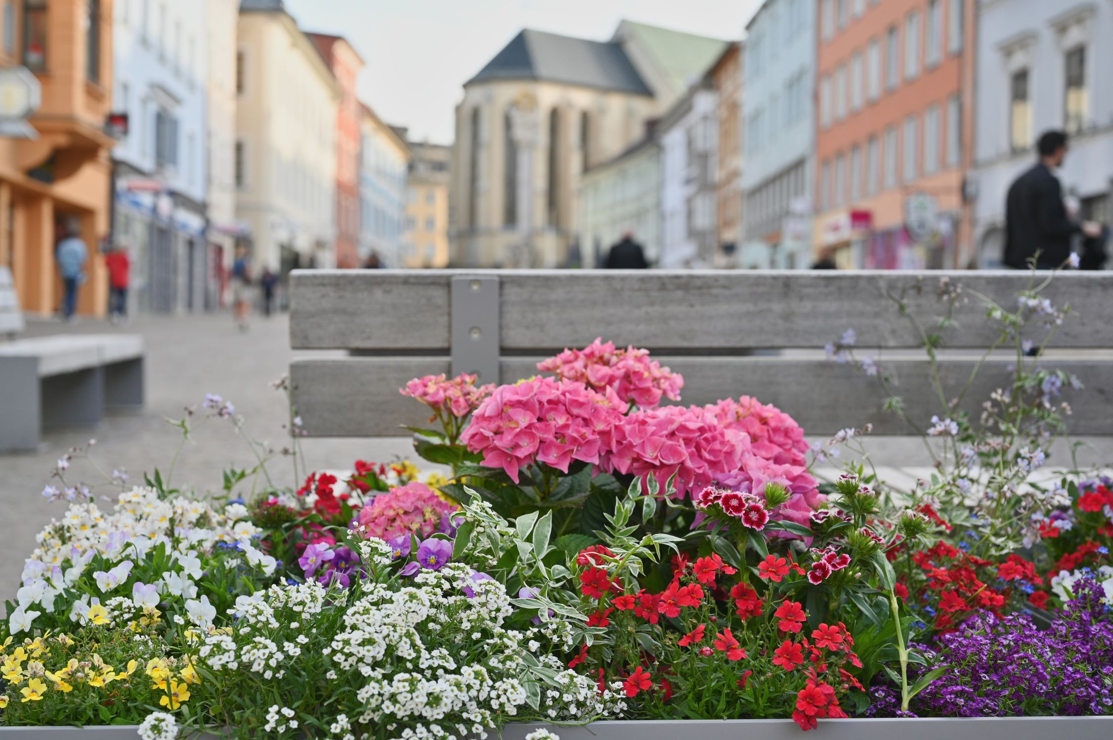 Blumenschmuck in der Villacher Innenstadt